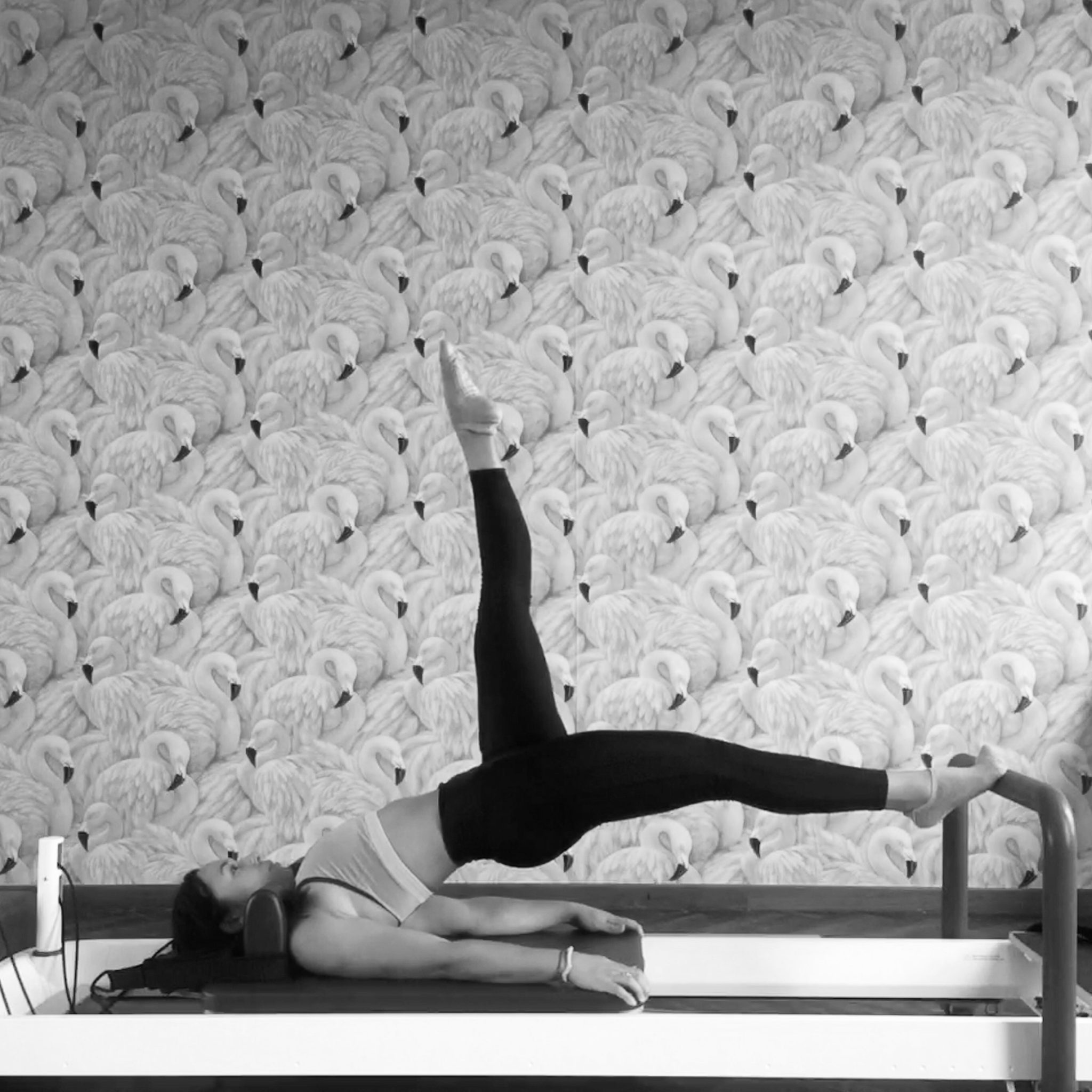 Reformer Pilates Korpermotus Pilates Unley, Adelaide